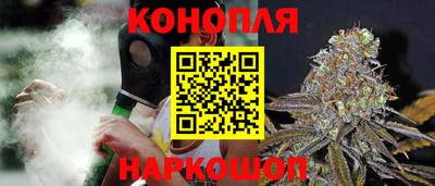 гашик Краснознаменск