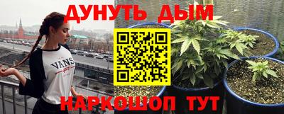 гашик Краснознаменск