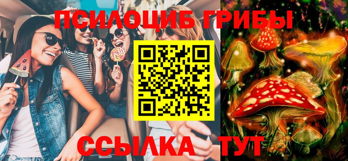 Псилоцибиновые грибы MAGIC MUSHROOMS  Галлюциногенные грибы ЛСД  Благовещенск  Вход с VPN 