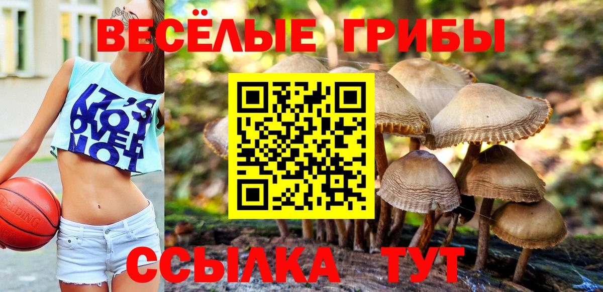 Галлюциногенные грибы GOLDEN TEACHER Благовещенск